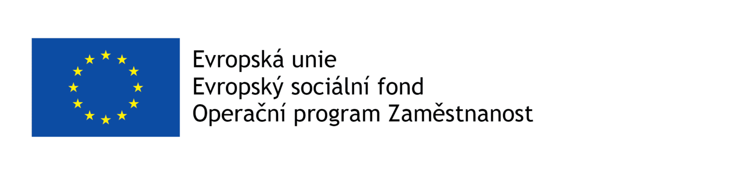 Evropský sociální fond